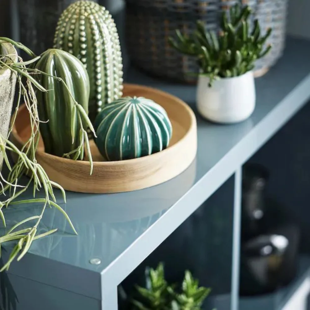 IKEA Green Ceramic Decorative Cactus Trio - Picture 6 of 10
